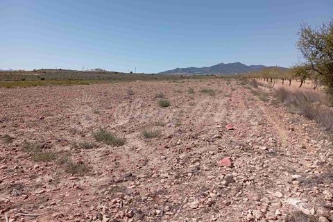 Helårsgrund i Pinoso, Alicante, Pinoso - € 39.000 | Ref: SF0515 - foto 10